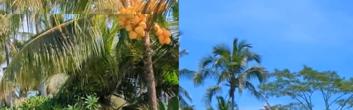 Tangkapan layar situs resmi Puri Dajuma Beach Eco-Resort